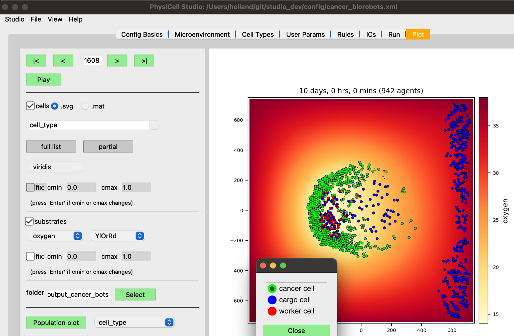 PhysiCell gallery of models